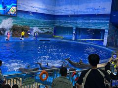 -多彩贵州城极地海洋世界