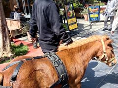 -尚牛社会 Beef & Liberty(金桥EKA天物店)