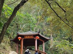 -黄埔油麻山森林公园