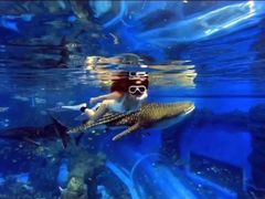 -成都浩海立方海洋公园