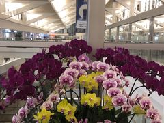 -厦门高崎国际机场-T3航站楼