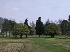 -贵州省植物园