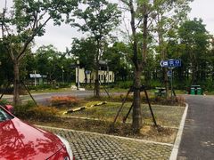 -上海浦江郊野公园-2号停车场