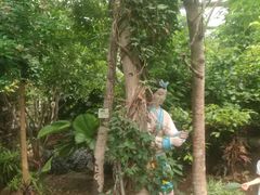 -北京呀路古热带植物园