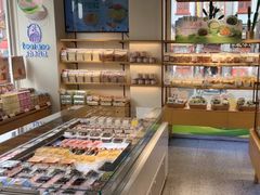 -天力卡拉优动物奶油生日蛋糕(鼓楼店)