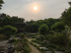 -无锡蠡湖国家湿地公园-蠡园