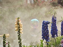 -人民公园(罗湖区)