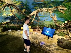 -自贡恐龙博物馆