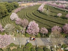 -凤凰沟景区