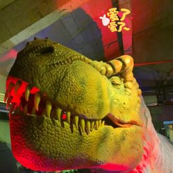 -恐龙探索乐园(磁器口店)