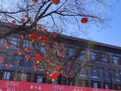 -八大处公园