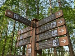 -黄海国家森林公园