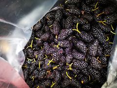 -樱桃山旅游景区