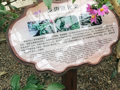 -南山植物园