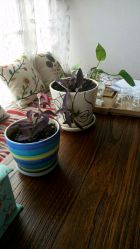 -瑜舍瑜伽连锁教室