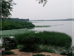 -丁香湖公园