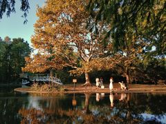 -上海共青森林公园