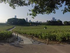 -苏州湾体育公园