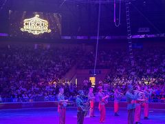 -俄罗斯国家大马戏团