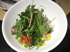 中华海草-鲤·鮨KOISUSHI