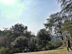 -铁山坪森林公园