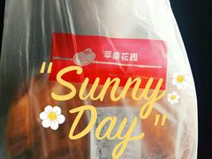 -苹果花园(枫林路店)