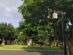 -南宁南湖公园