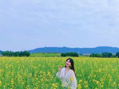 -光明小镇欢乐田园