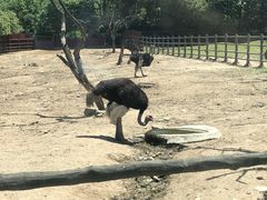 -西安秦岭野生动物园