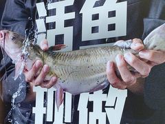 -老板恋上鱼(恒隆广场店)