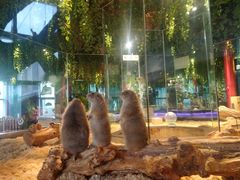 -昆明大悦城未来动物城(螺蛳湾中心店)