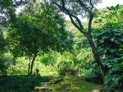 -广州市白云山风景名胜区