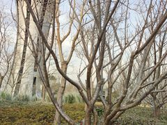 -上海山野camping·户外天幕烧烤·团建拓展营地