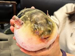 -永安鱼庄·镇江菜(东吴路店)