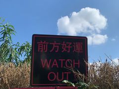 -桃花岛景观公园