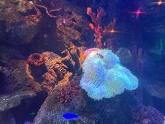 -沈阳海洋探索中心