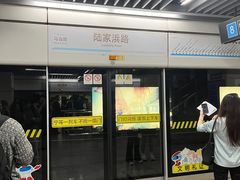 -陆家浜路(地铁站)