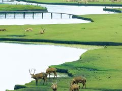 -溱湖国家湿地公园