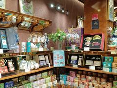 -布兰兔的植物庄园(杭州南宋御街店)