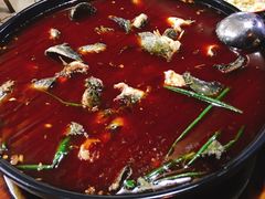 仔鲢-金海椒罐罐鲢鱼(东方桂苑店)