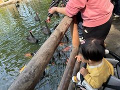 -深圳野生动物园