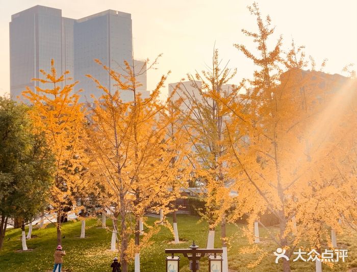 西海子公园图片
