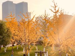 -西海子公园