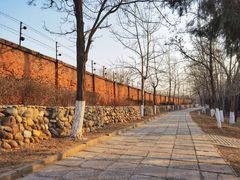 -云岗森林公园