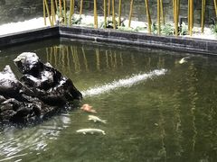 -天津海河悦榕庄·Lobby Lounge大堂吧