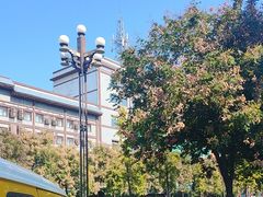 -一记洛阳菜·糖醋小排·水席(十字街店)