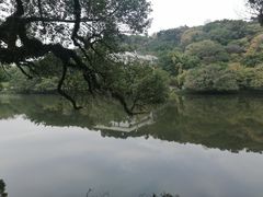 -潮州西湖