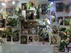 -Rabbit Cafe私房西餐甜点咖啡(栖霞路店)