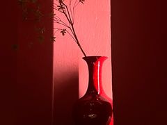 -拾宴(汇智国际商业中心店)