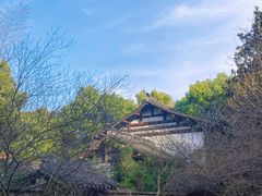 -杭州植物园
